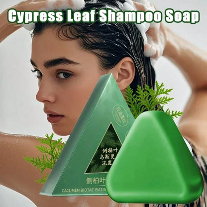 Cypress & Herbal Sky Shampoo Bar – Ginseng-Infused - alotasawkli