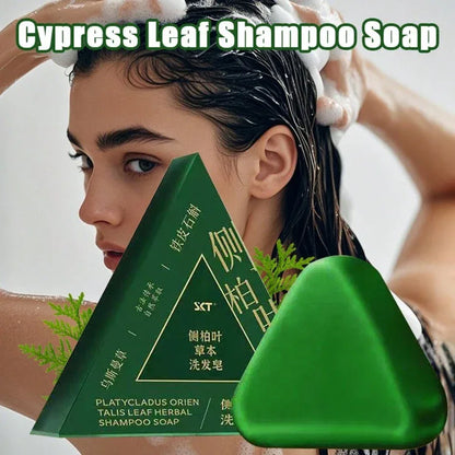 Cypress & Herbal Sky Shampoo Bar – Ginseng-Infused - alotasawkli