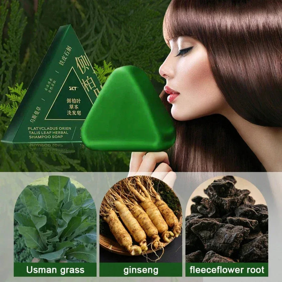 Cypress & Herbal Sky Shampoo Bar – Ginseng-Infused - alotasawkli