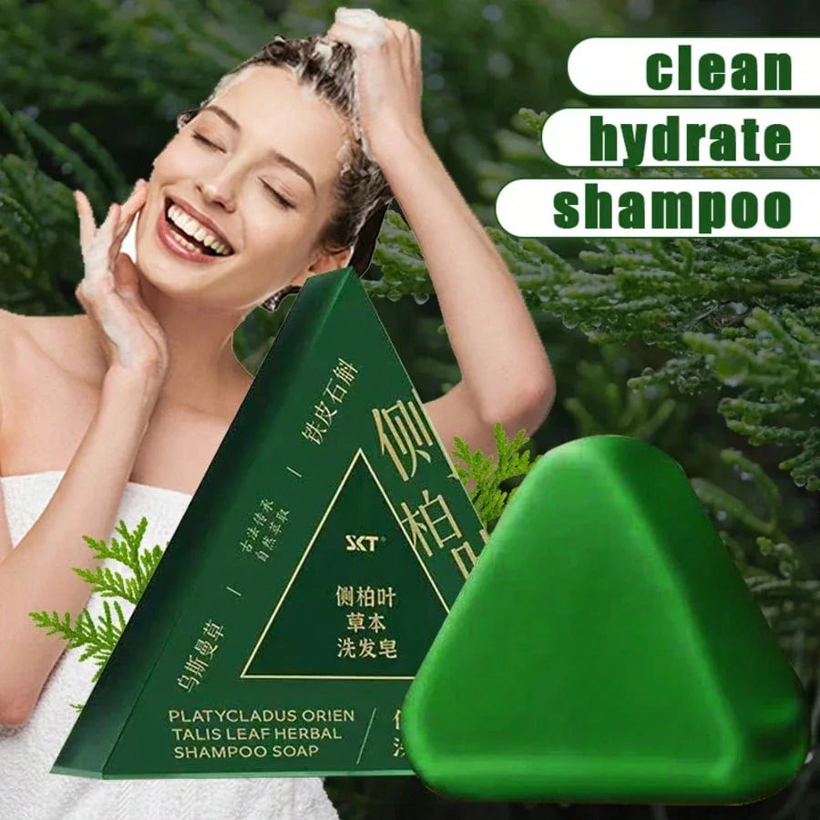 Cypress & Herbal Sky Shampoo Bar – Ginseng-Infused - alotasawkli