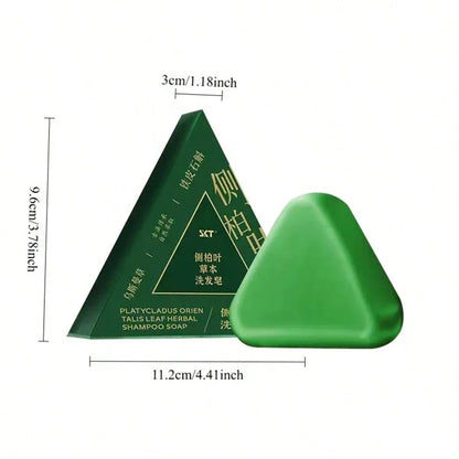 Cypress & Herbal Sky Shampoo Bar – Ginseng-Infused - alotasawkli