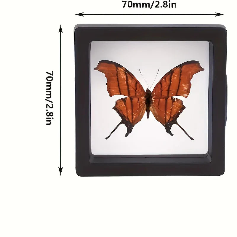 10pcs Transparent Display Boxes - alotasawkli