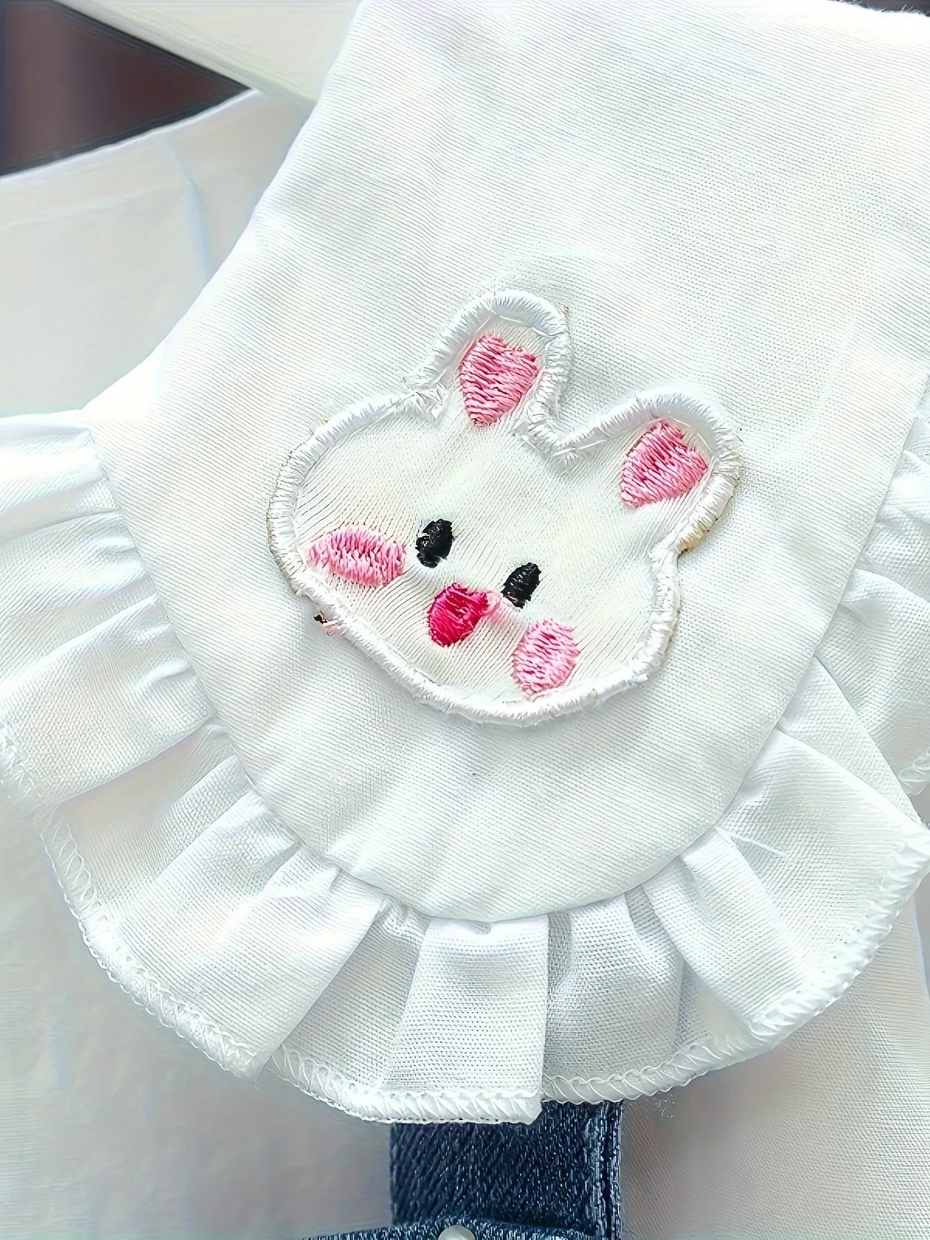 TEMU-Collection for Girls Featuring a Two-Piece Set with Bunny - alotasawkli